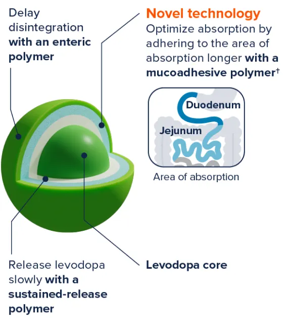 ER pellet diagram