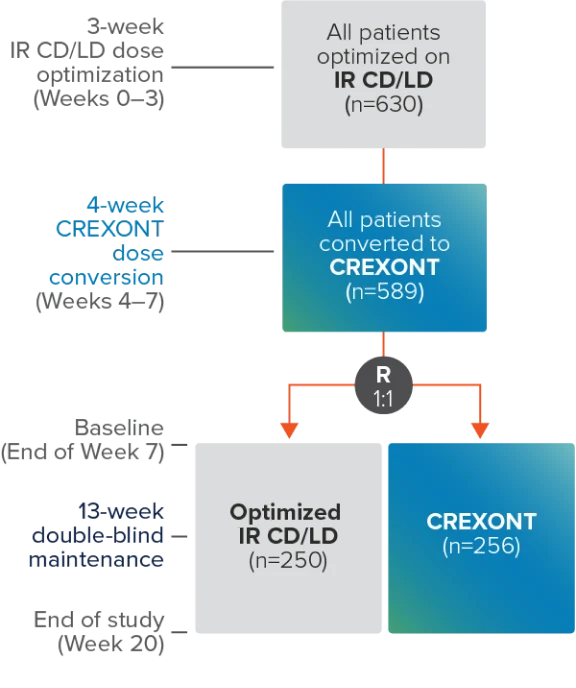 chart depicting the phase 3, randomized, double-blind study design